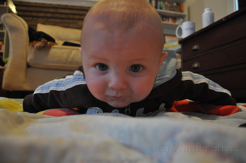 William's Nineteenth Week 13.jpg